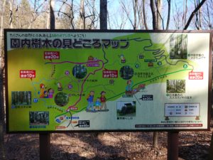 小根山森林公園の案内板（国内樹木の見どころマップ）の写真